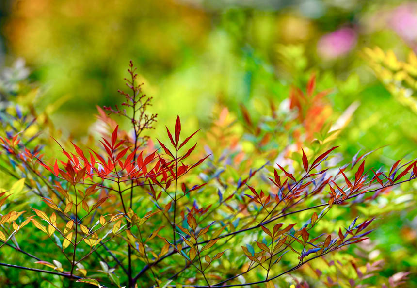 ՏVꖍuӳr̼tľGɫ֮޾ӡz