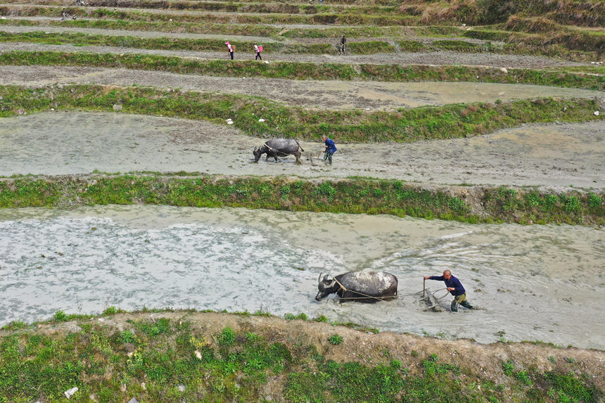 46ؑcˮͩlɳڸwz