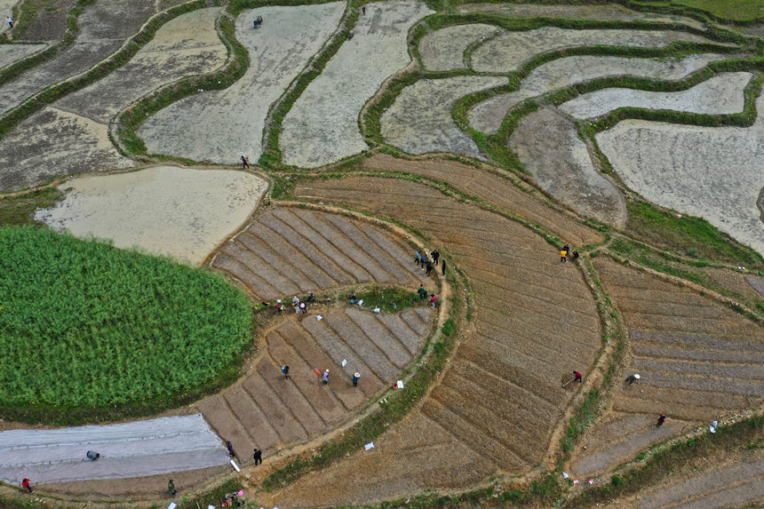 46ؑcˮͩlɳgwz