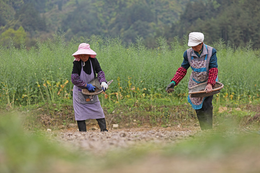 46ؑcˮͩlɳgwz