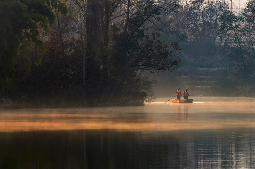 ˆTڝƯؑcƽpҝع@D