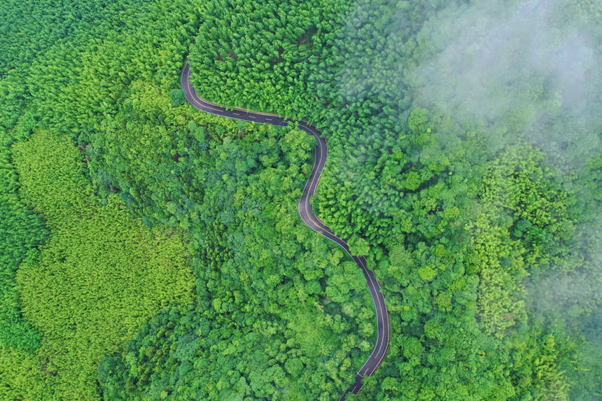 Bشؑcƽpҝع@D