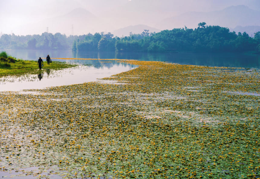 ˆTp߅Ưؑcƽpҝع@D