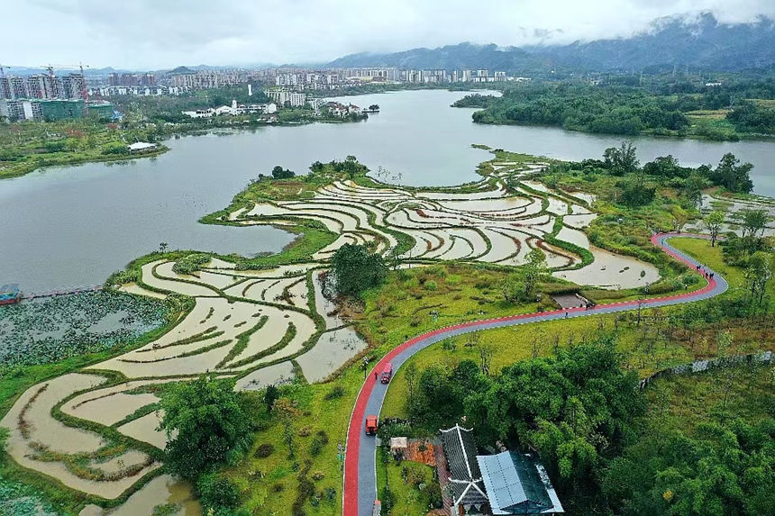 Bؑcƽpҝع@ؑcƽpҝع@D