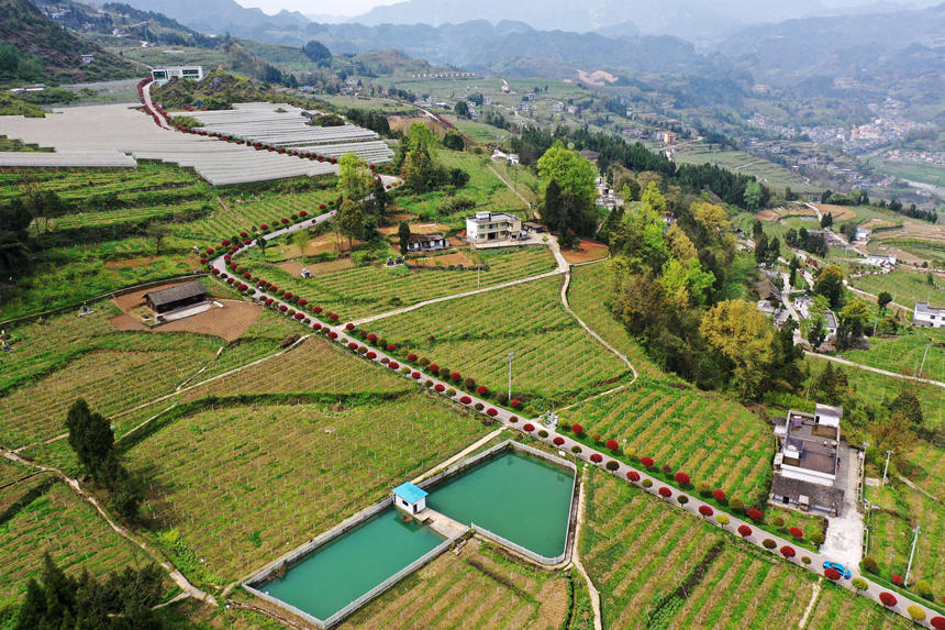 ܇vؑcǭ^dȪĮaI·z