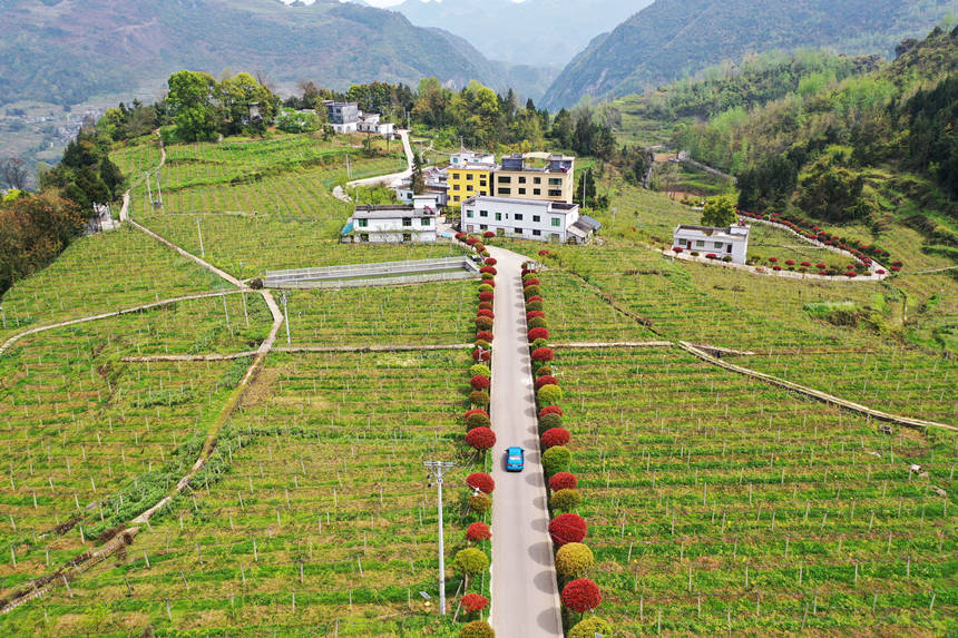 ܇vؑcǭ^dȪĮaI·z