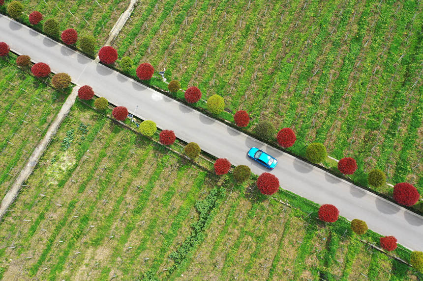 ܇vؑcǭ^dȪĮaI·z