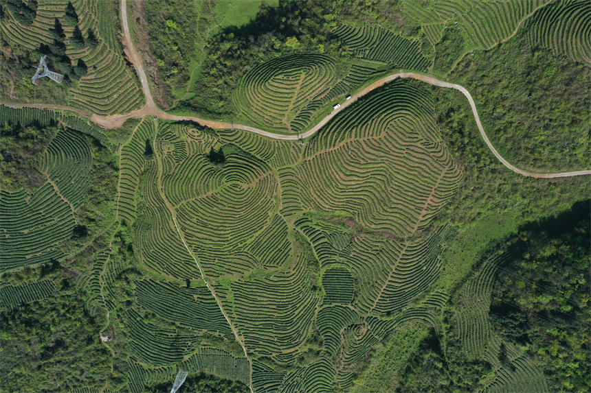 һɽqһڴϡָyȞ^wz