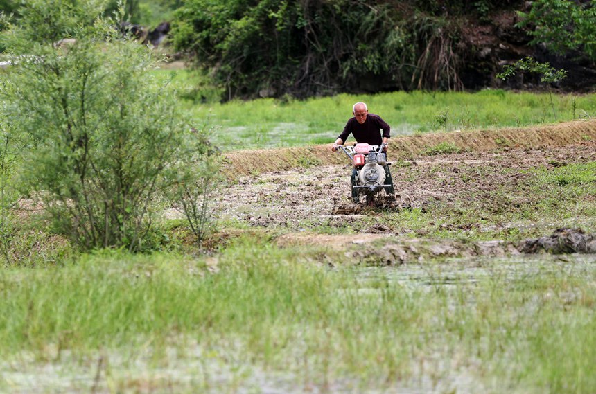 ؑcˮ悵׷Nֲ΢Cz