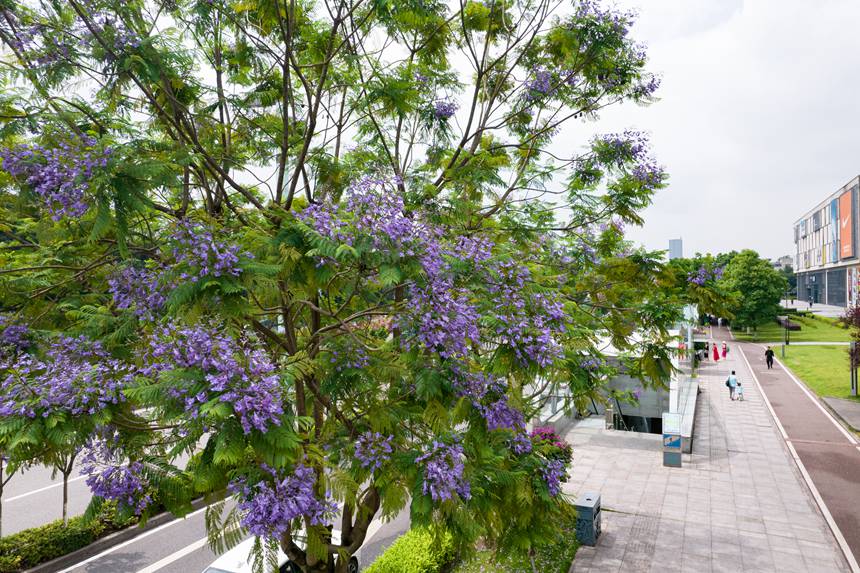 ؑcϰ^VꖞǄBͨ{ʢ_־z