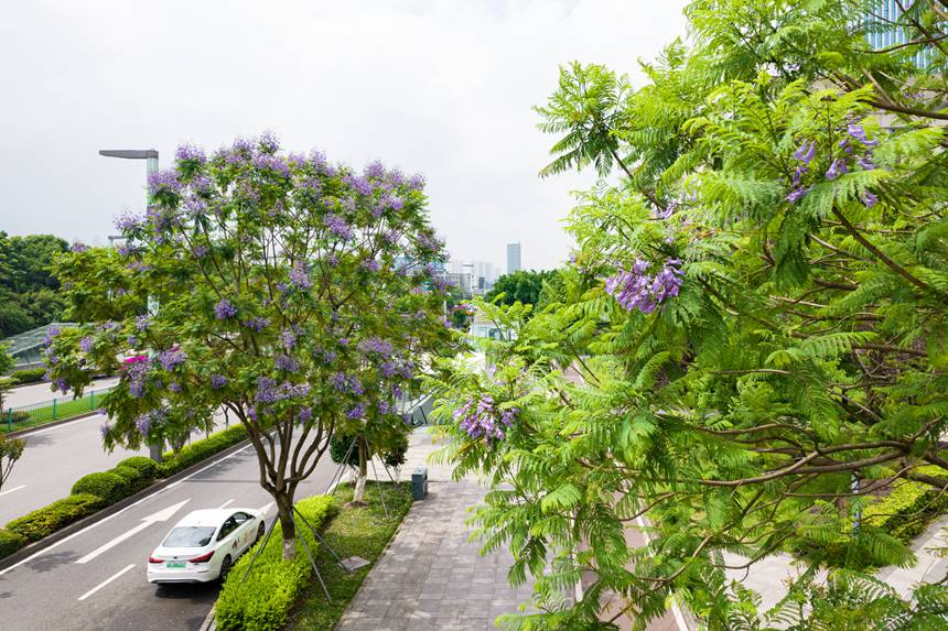 ؑcϰ^VꖞǄBͨ{ʢ_־z