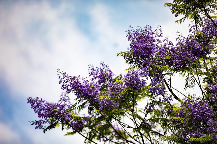 ؑcϰ^VꖞǄBͨ{ʢ_־z