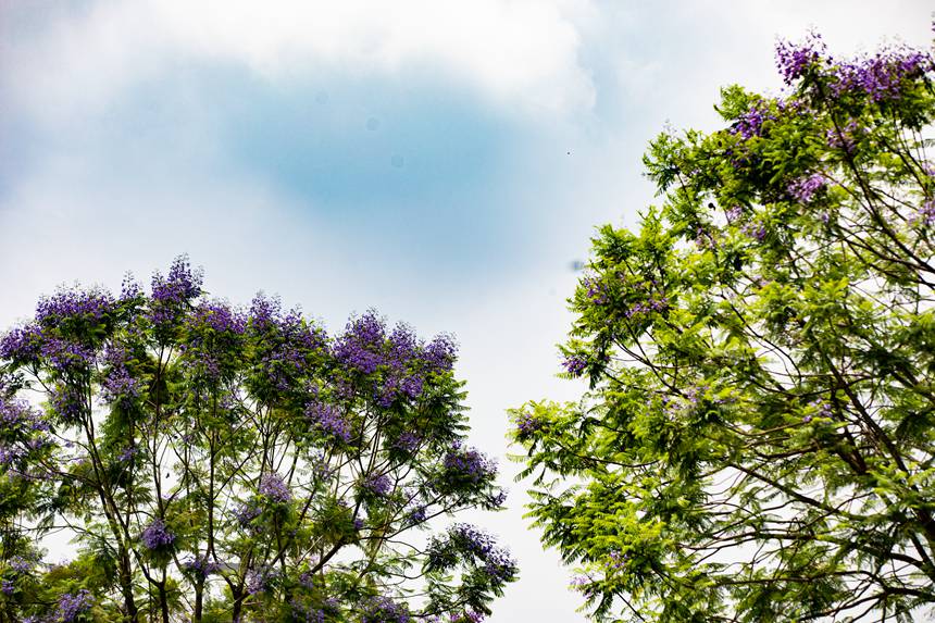 ؑcϰ^VꖞǄBͨ{ʢ_־z