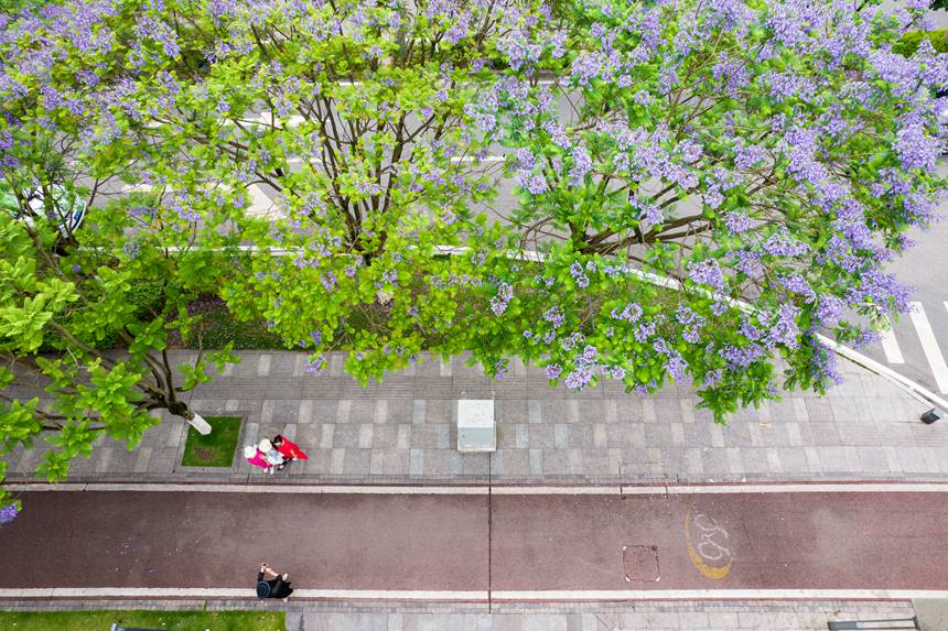 ؑcϰ^VꖞǄBͨ{ʢ_־z