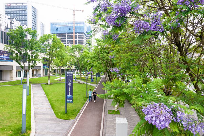 ؑcϰ^VꖞǄBͨ{ʢ_־z