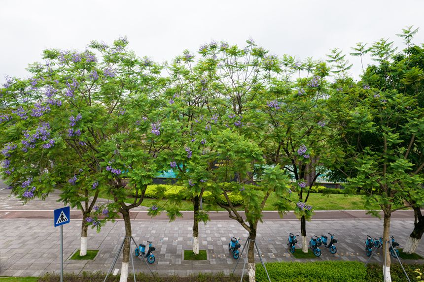 ؑcϰ^VꖞǄBͨ{ʢ_־z