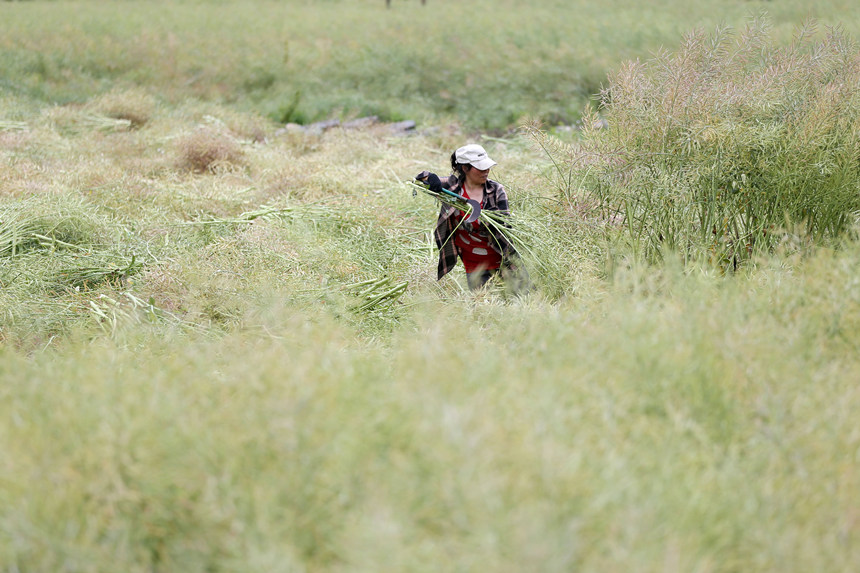 ؑcǭ^СϺ悴·^ոͲz