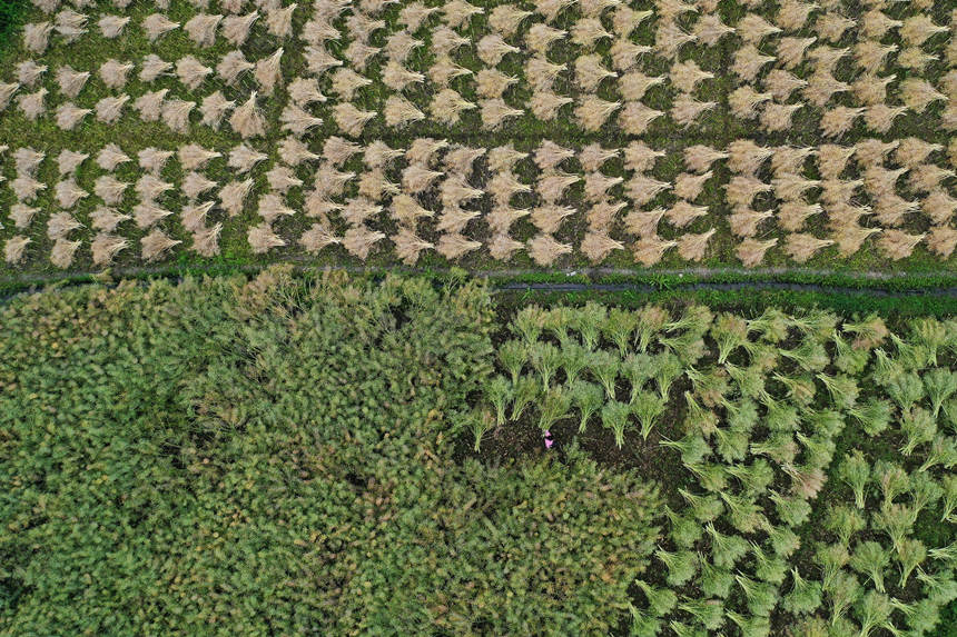 ؑcǭ^СϺ悴·^ոͲz