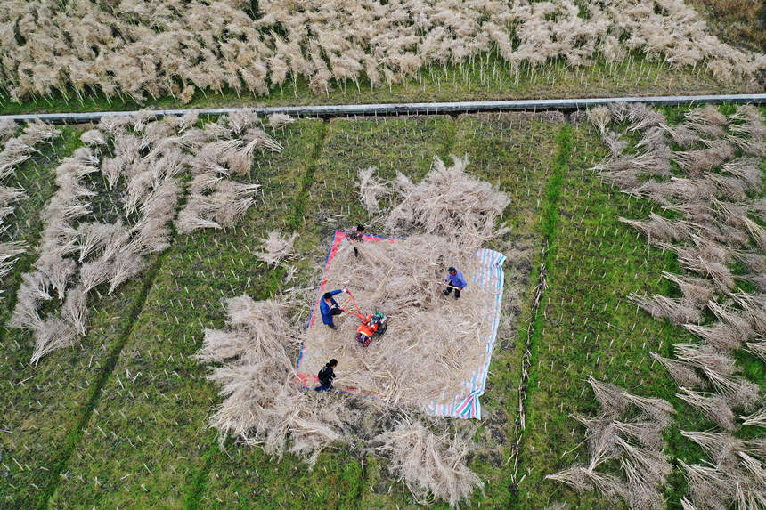 ؑcǭ^СϺ悴·^ڴͲz