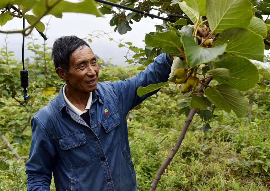 �����J���ҹ��@���S�Ӕz