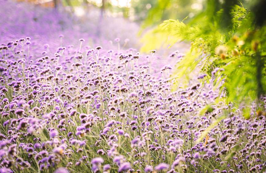 ССĻSLuҷ̎ƯĚϢ֔z