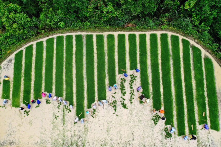 ؑcǭ^ʯ悰ɽˮæµz