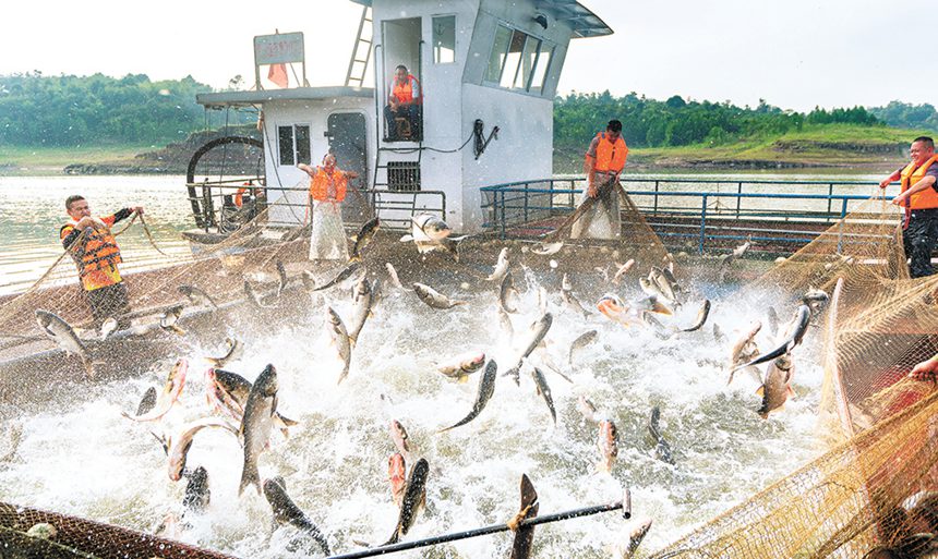 2020523Lۅ^LۺˆTվW~@ЩBBֳ~SĲͨӍT  z/ҕXؑc