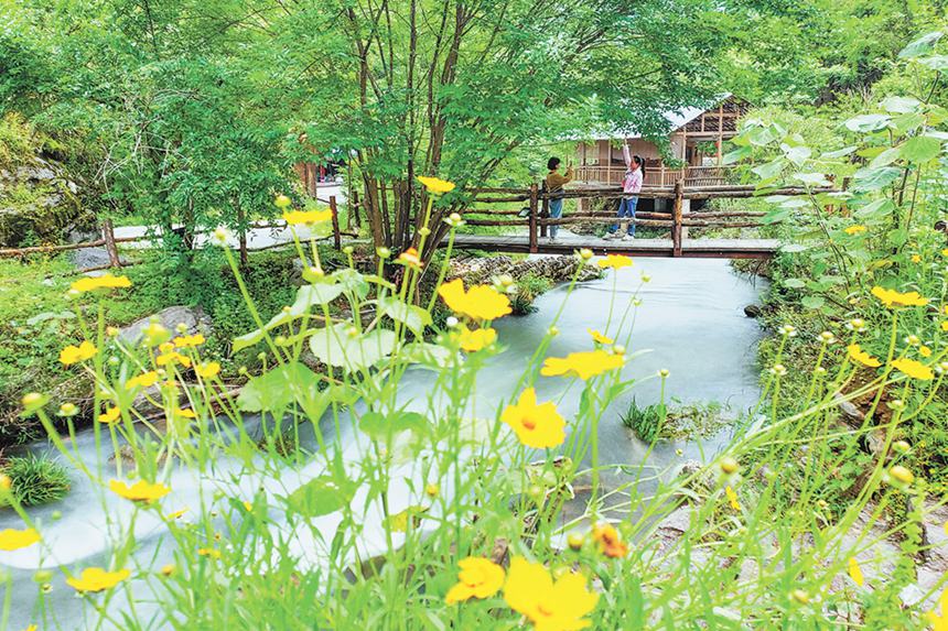 517ɽhʯҮ悰կ¶Iο[[ɽg^ӛ  z/ҕXؑc