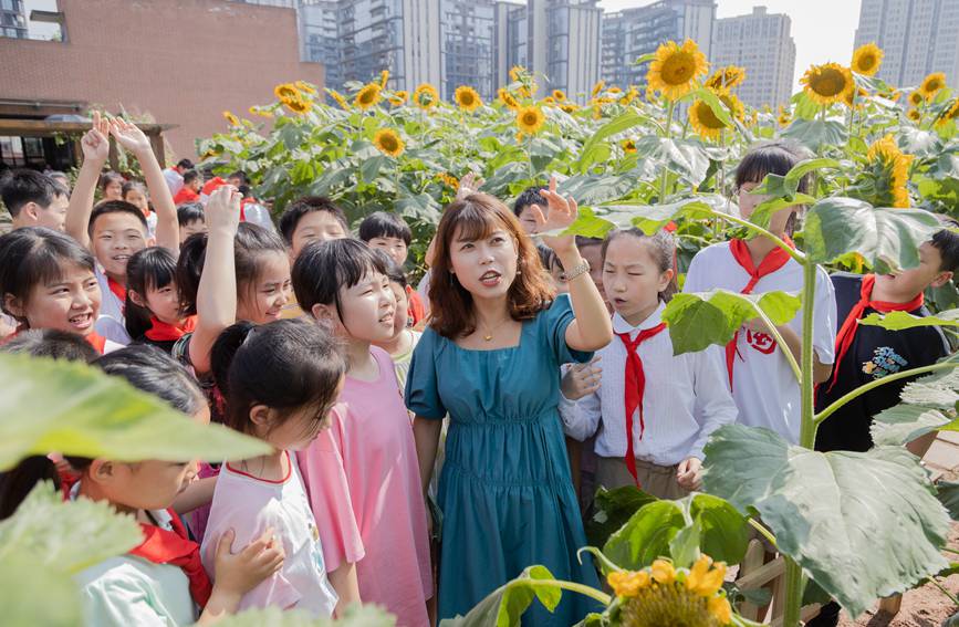 nðMտ@ɽ^ǺWУD