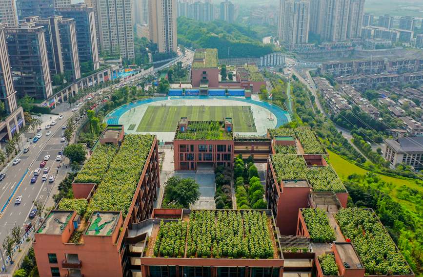 ̌W픵տ@ɽ^ǺWУD