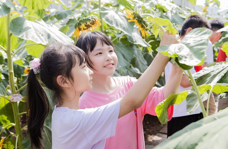 nðMտ@ɽ^ǺWУD