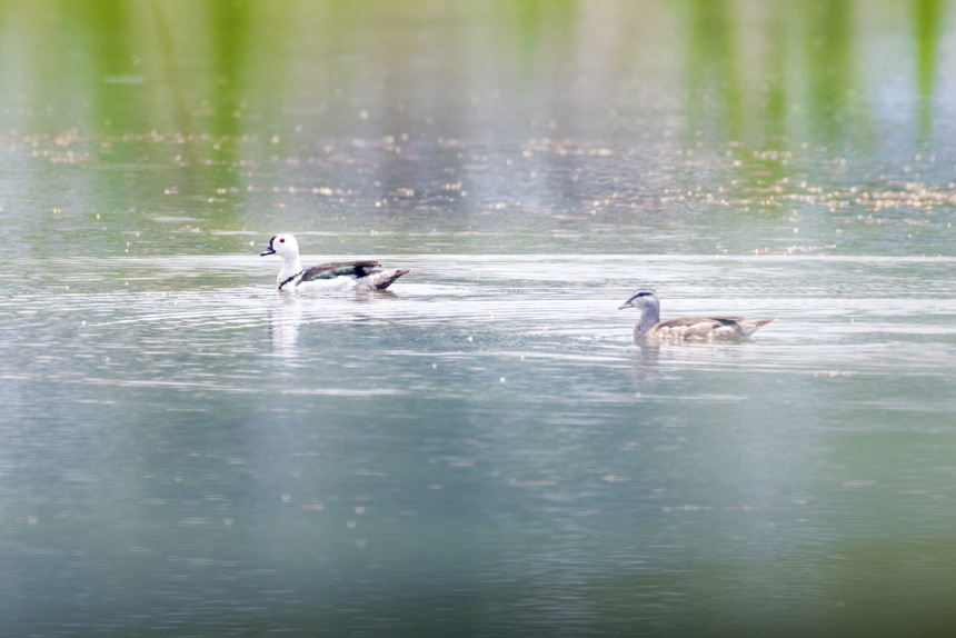 ҶoDpҝع@ˮґˣȑєz