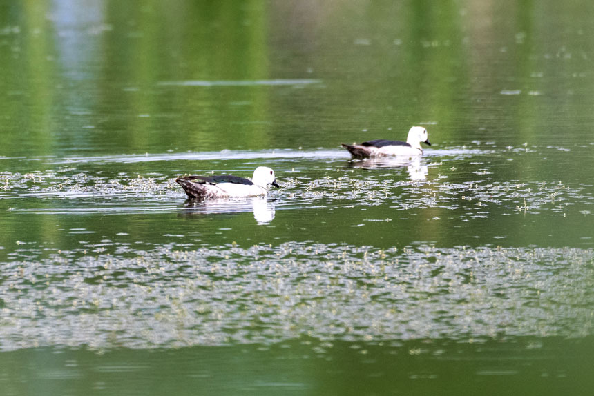 ҶoDpҝع@ˮґˣȑєz