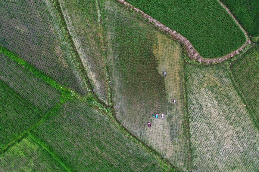 621ؑcǭ^Rɼڵ޶z