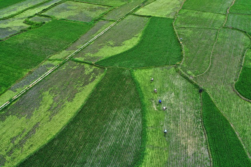 621ؑcǭ^Rɼڵ޶z