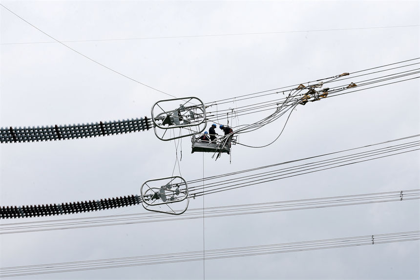 Q㽭800ǧظ߉ֱݔ늹ؑcǭֶʩFڸ߿I z