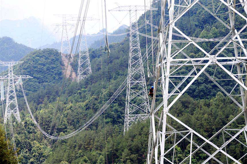 Q㽭800ǧظ߉ֱݔ늹ؑcǭֶʩFڸ߿Iz