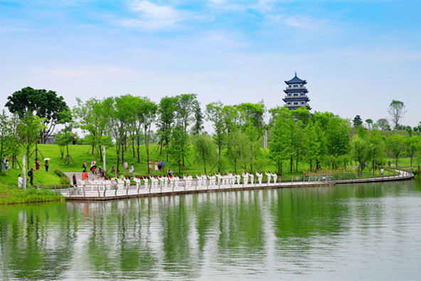 市民在三合湖濕地公園表演太極功夫。向曉秋攝