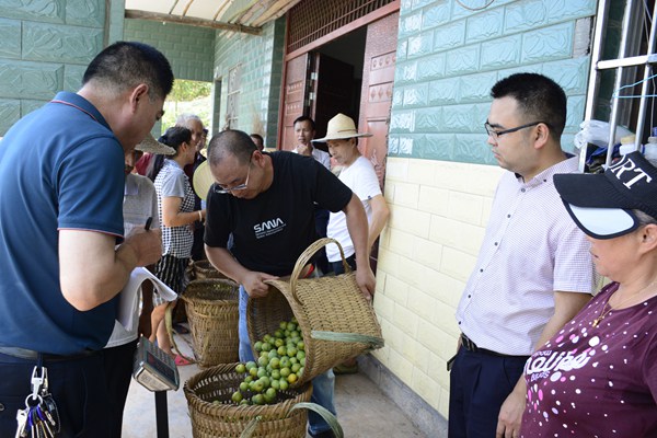 鎮上負責人現場把關脫骨李質量和重量。受訪者供圖