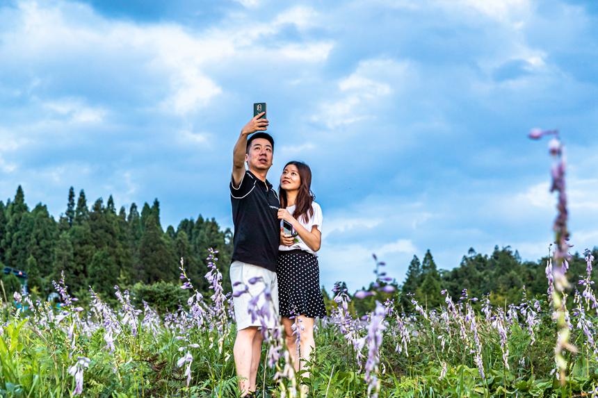 游客在南川山王坪感受涼爽夏日。瞿明斌攝