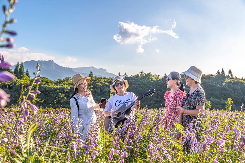 游客在南川山王坪感受涼爽夏日。瞿明斌攝
