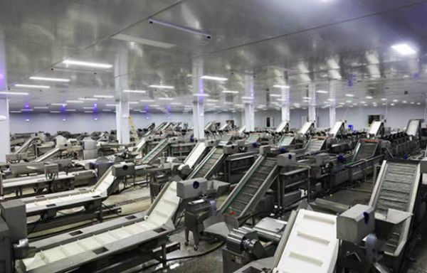 凈菜加工廠設備安裝完成。彭水縣委網信辦供圖