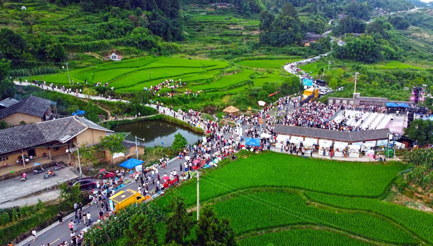 梁平區“明月之夏·露營蟠龍”首屆美麗鄉村露營節活動現場。向成國攝