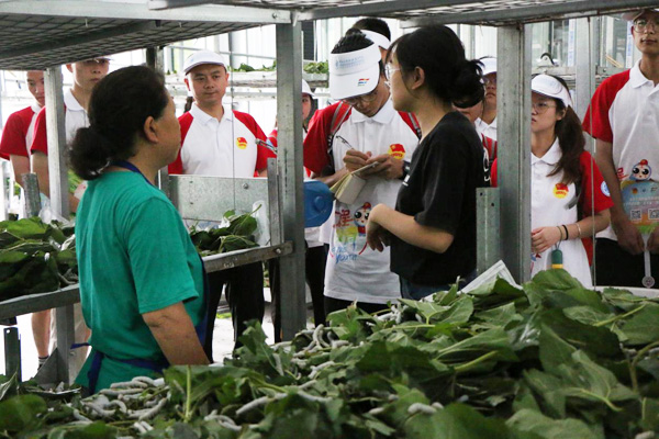 實踐團成員深入養殖場調研,認真記錄。重慶工程職業技術學院供圖