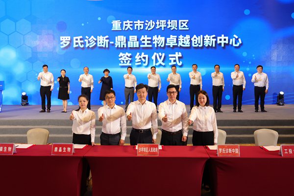 活動現場。沙坪壩區委宣傳部供圖