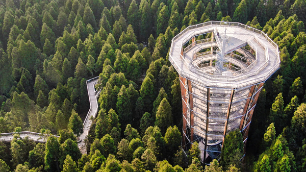 樹頂漫步。武隆區融媒體中心供圖