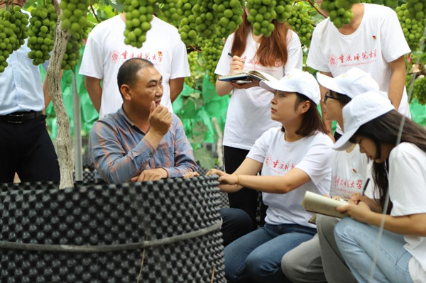 實踐團學習葡萄種植與管理技術。重慶師范大學供圖