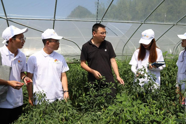 實踐團參觀蔬菜大棚。重慶師范大學供圖