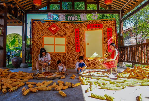 游客參與剝玉米活動。熊偉 攝