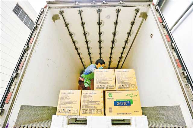 7月31日，萬盛經開區叢林鎮綠水村，工人往冷鏈物流車上裝金針菇。通訊員 王瀘州 攝/視覺重慶